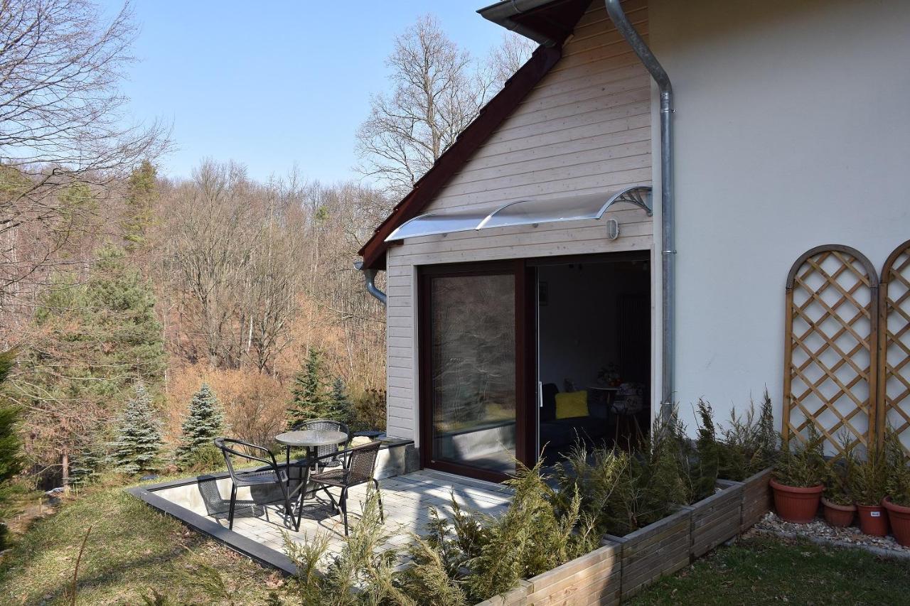 Apartament Bukowy Las Zachelmie  Exterior photo